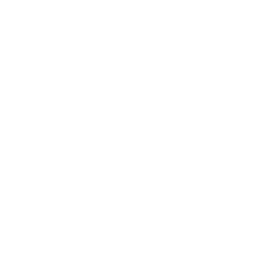 Jumbo Run
